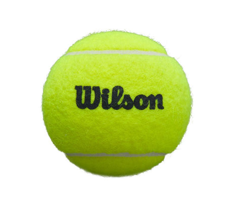 Piłki do padla/Karton Wilson Premier Padel 3x24