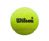 Piłki do padla/Karton Wilson Premier Padel Ball Speed 24x3