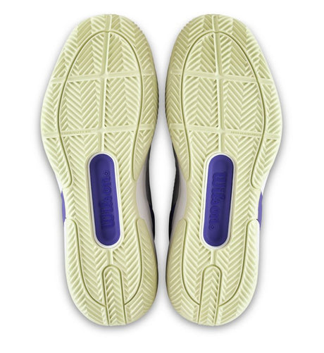 Buty tenisowe Wilson Rush Pro 5 Clay szare