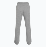 Spodnie tenisowe Wilson Team Jogger Classic szare
