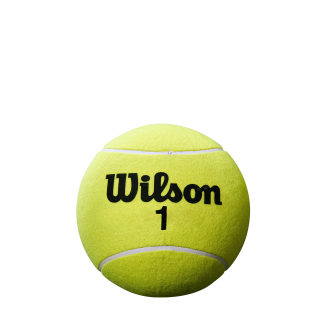 Piłka na autografy Piłka Wilson 5 Mini Jumbo YE