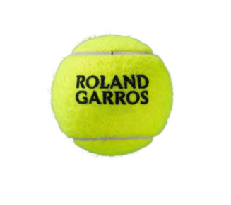 Piłki tenisowe Wilson Roland Garros Clay 4B